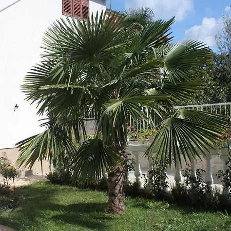 Apartamento Studio 2995d